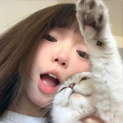 共和国血脉 封面